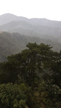 狂風(fēng)暴雨