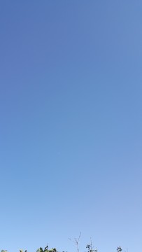 晴空萬里