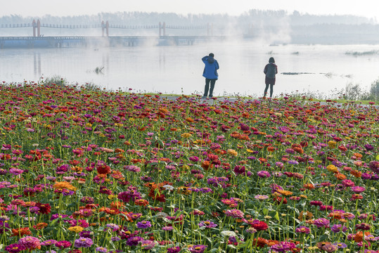 花海