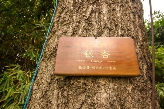 成都鐵像寺