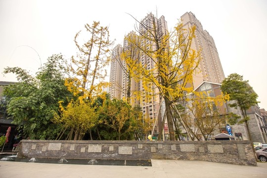 成都鐵像寺