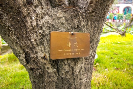 成都鐵像寺