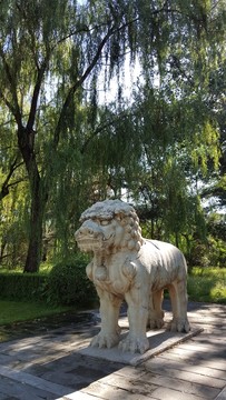明十三陵總神道獅子像石刻