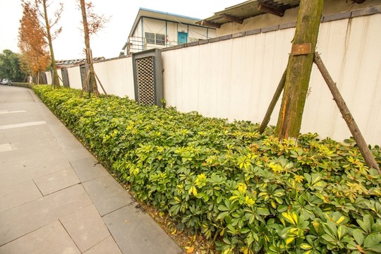 成都鐵像寺