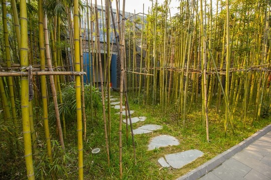 成都西村大院