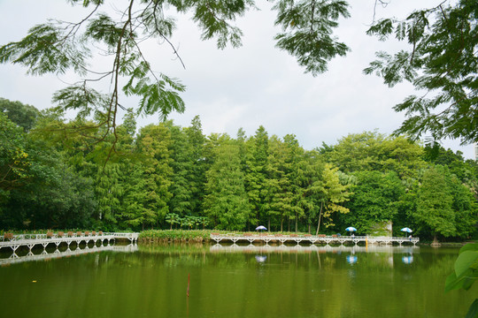 荔枝公園一角