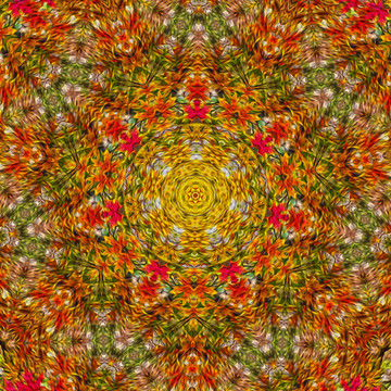花紋 對稱花紋