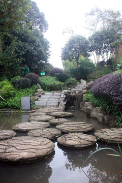 水池