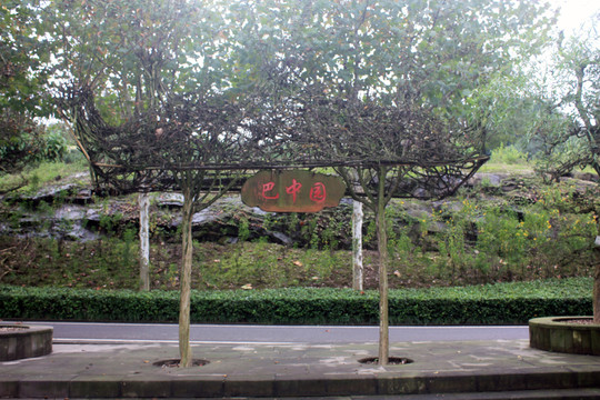 植物藝術(shù)