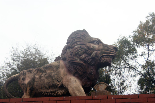 石獅 雕塑 獅子