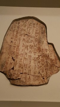 國家博物館藏甲骨文龜甲卜甲