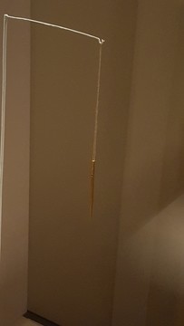 國(guó)家博物館藏金針金醫(yī)針