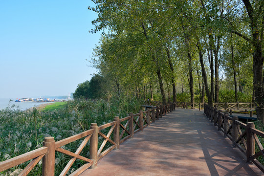南京魚嘴濕地公園