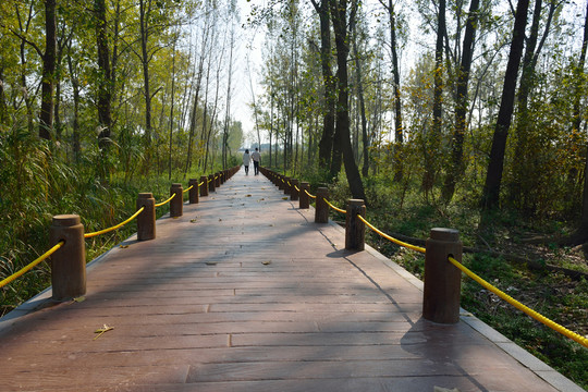 南京魚嘴濕地公園