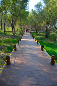 南京魚嘴濕地公園