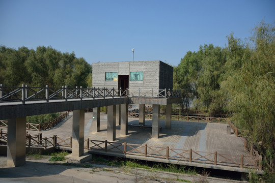 南京魚嘴濕地公園