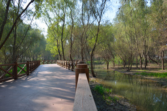 南京魚嘴濕地公園