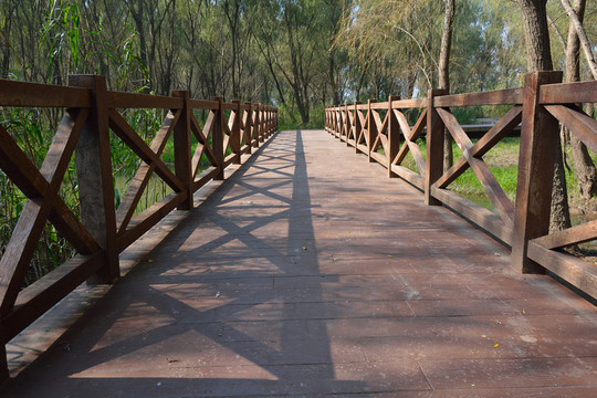 南京魚嘴濕地公園