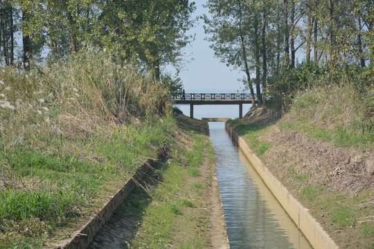 南京魚嘴濕地公園