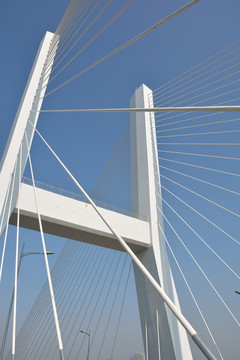 斜拉橋