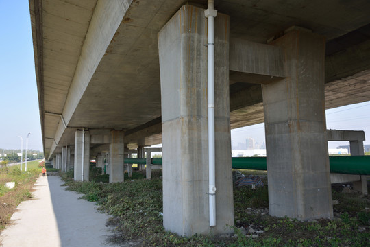 大橋橋墩