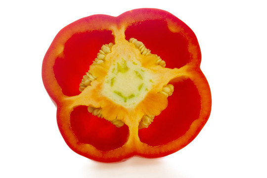 紅辣椒截面