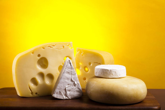 各种类型的奶酪
