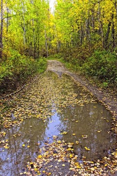 在Autumn的路上
