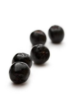 黑chokeberry孤立在白色背景