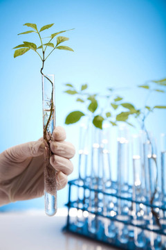 科學(xué)家研究植物