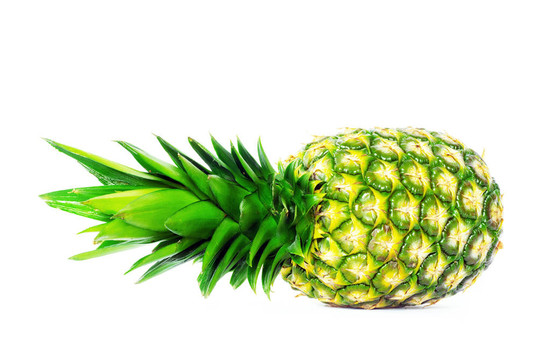 菠蘿