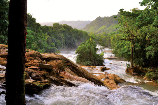 cascadas Agua Azul
