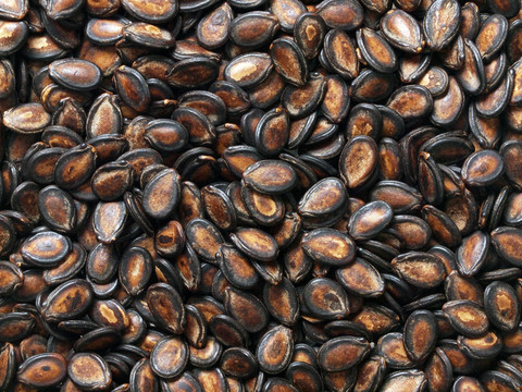 黑瓜子