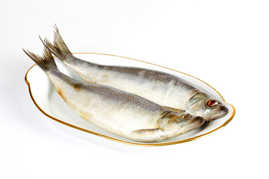白色背景上腌制的鯡魚
