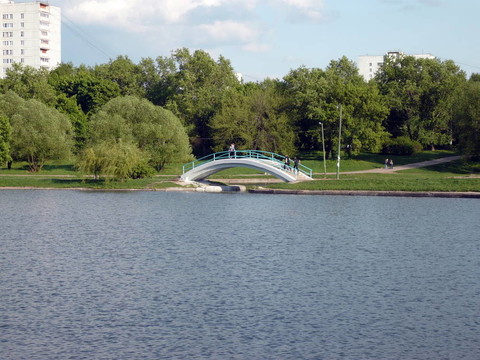 城市公園的夏天