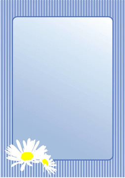 甘菊花明信片。