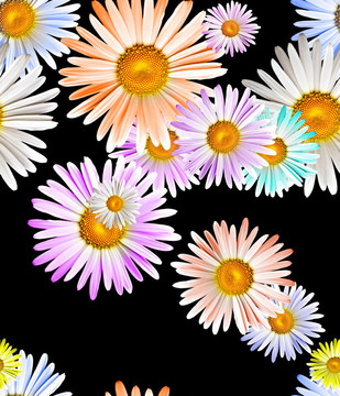 camomiles