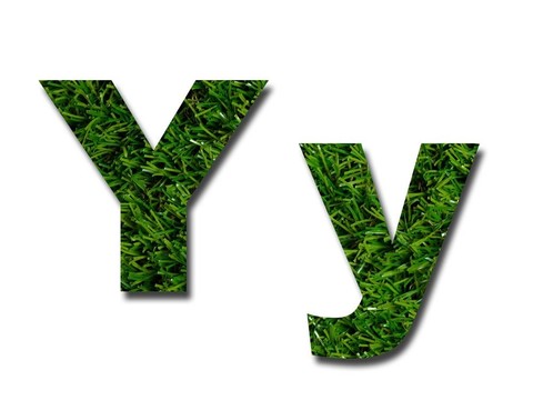 草的信