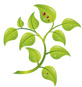 綠枝樹(shù)