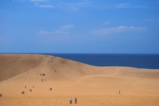 俯瞰大海的沙漠沙丘