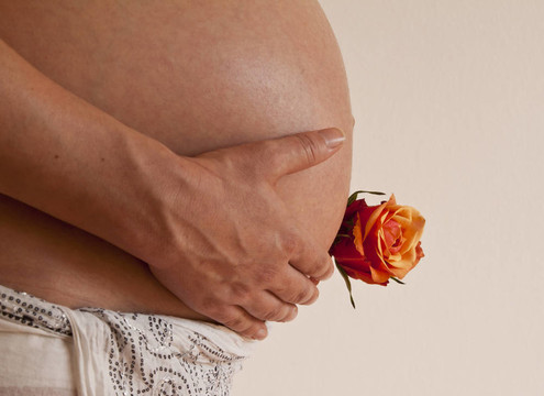 孕婦抱著她的肚子與橙玫瑰