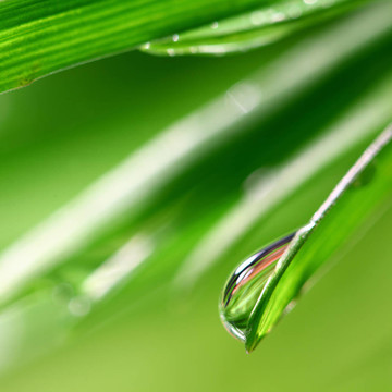 大水滴