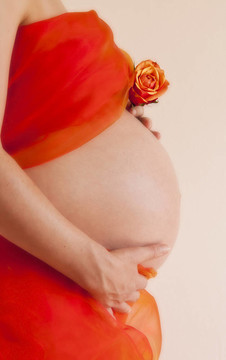 孕婦持橙玫瑰在肚子前橙色的布包裹