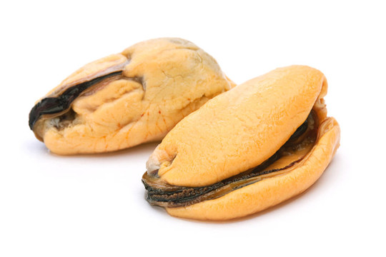 煮黃貽貝