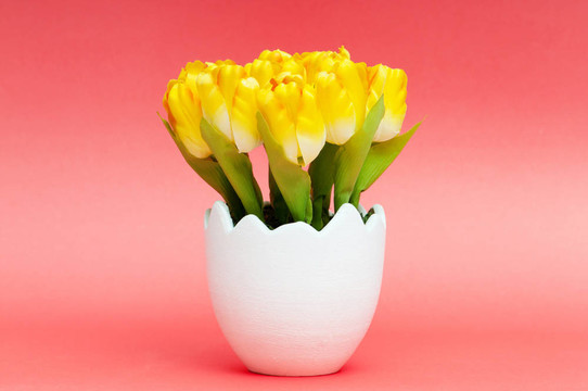 五顏六色的郁金香花在白壺里