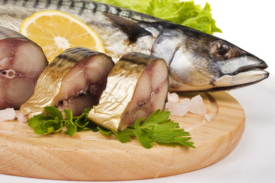 一個鯖魚組成