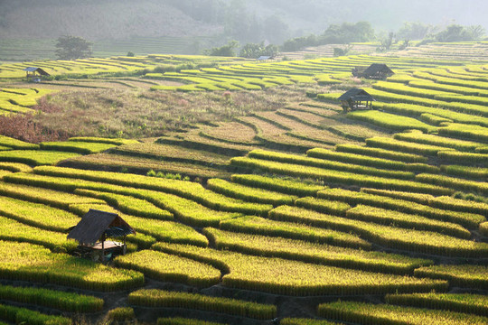 梯田和小屋在山峰