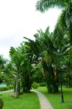 公園小路
