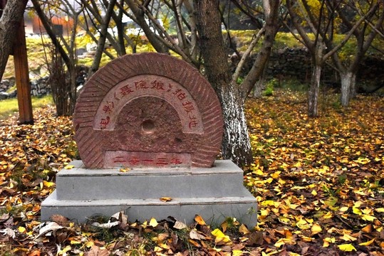 千年銀杏谷聶隱娘攝影基地
