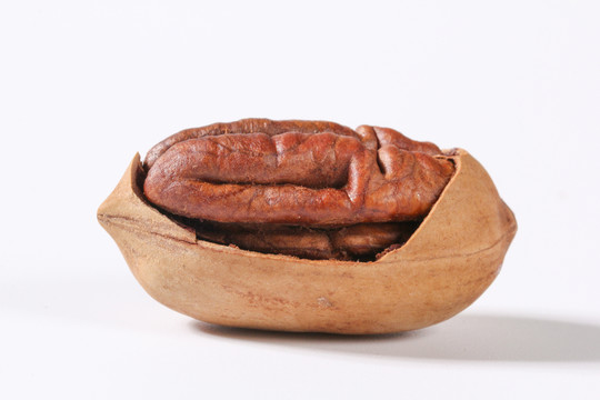 美國(guó)山核桃